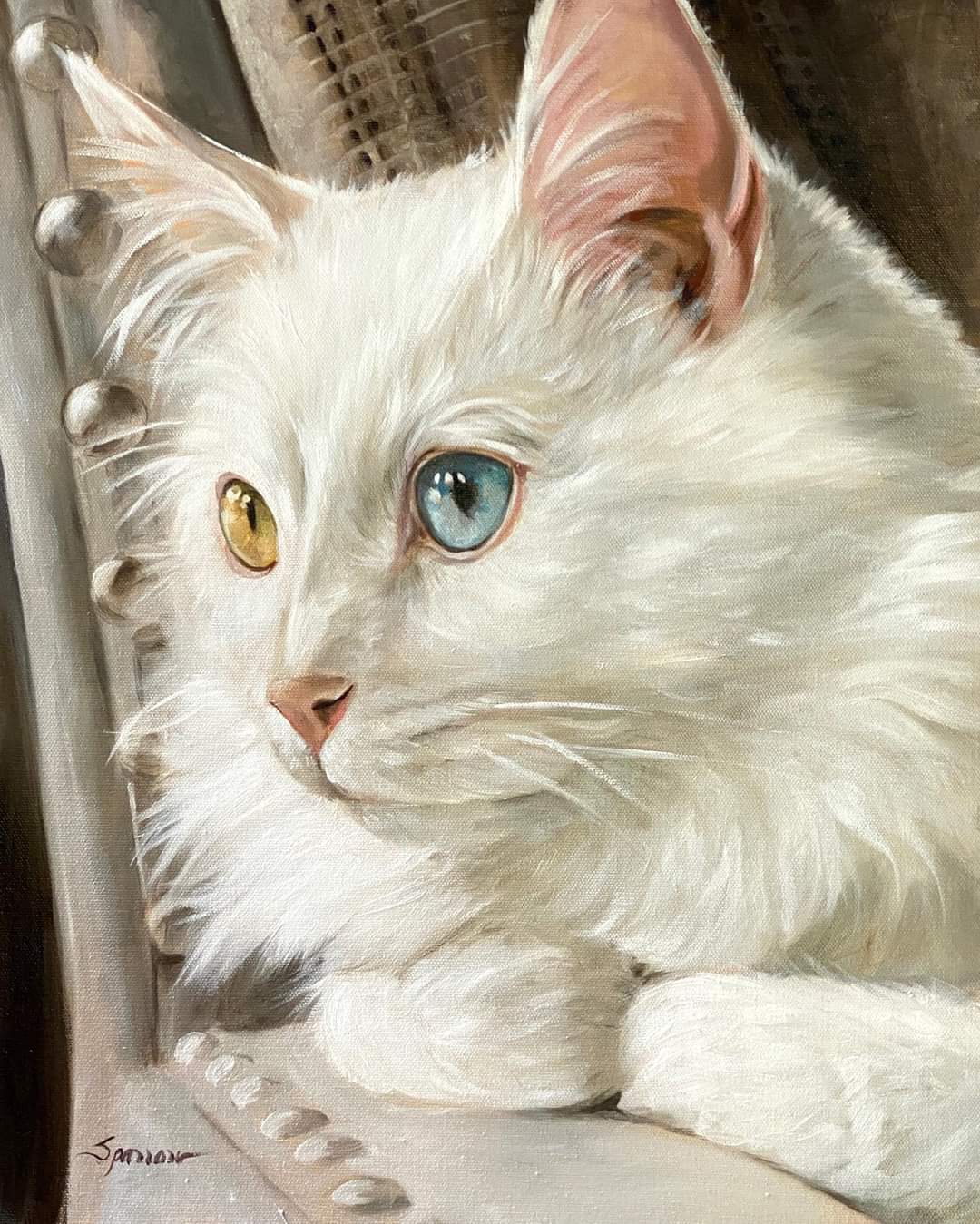 FB_IMG_1601039039669